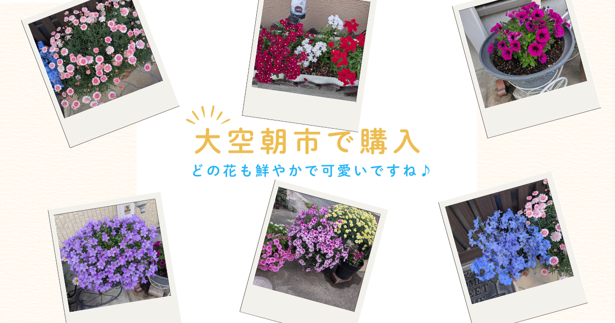 画像に alt 属性が指定されていません。ファイル名: 260509ブログ用画像01竹内.png